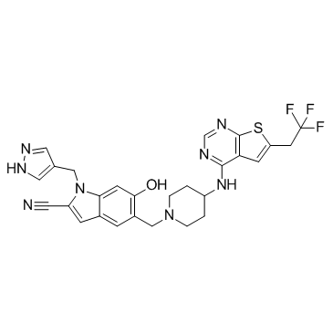HY-19810-50mg: MI-538