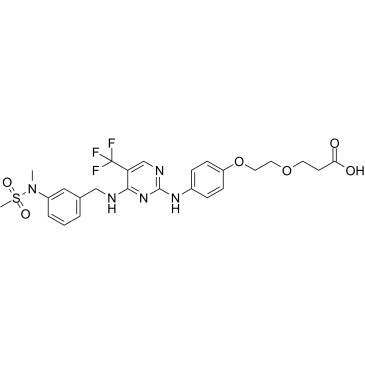 HY-44148-10mg: FAK ligand-Linker Conjuga