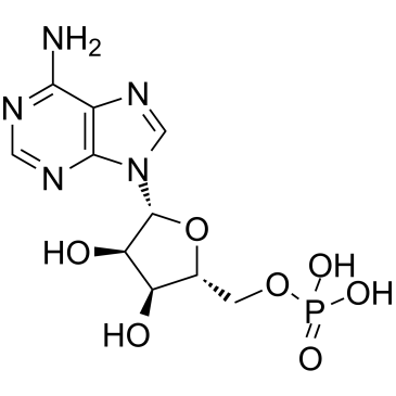 HY-A0181-500mg: Adenosine monophosphate