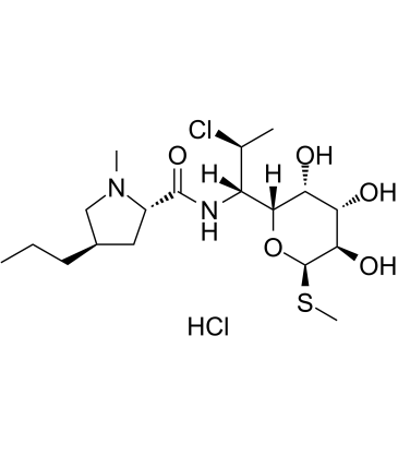 HY-B0408A-1mL: Clindamycin (hydrochlorid