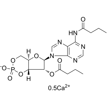 HY-B0764A-1mL: Bucladesine (calcium salt