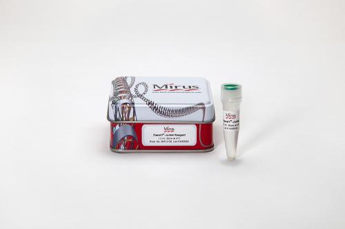 TransIT®-Jurkat Transfection Reagent