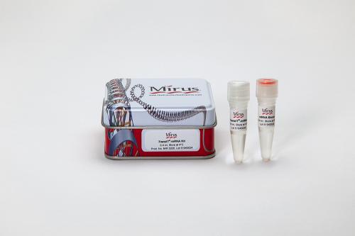 TransIT®-mRNA Transfection Kit