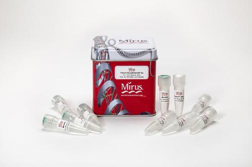 TransIT-HeLaMONSTER® Transfection Kit