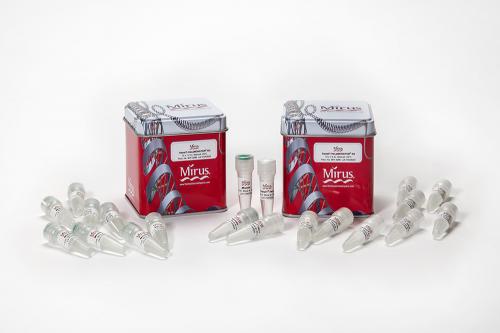 TransIT-HeLaMONSTER® Transfection Kit