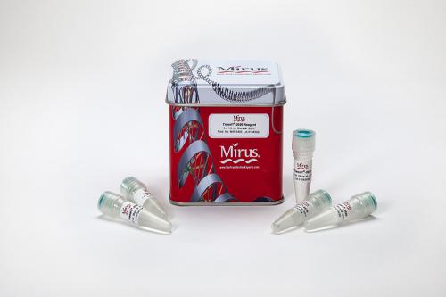 TransIT®-2020 Transfection Reagent