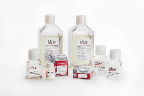 CHOgro® High Yield Expression System