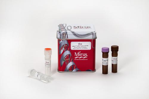 Label IT® siRNA Tracker Intracellular Lo