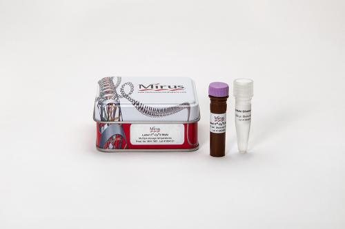 Label IT® RNAi Delivery Control, Cy®3