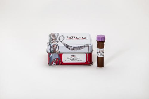 Label IT® Plasmid Delivery Control, Cy®3