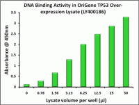 TP53 activity in the over-expression lys