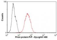 Flow Cytometry-Anti-Prion protein PrP an