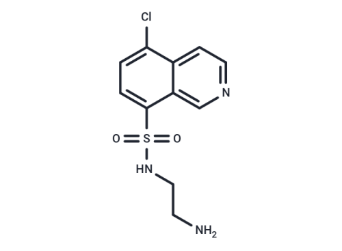 T10829-1 mL: CKI-7 free base