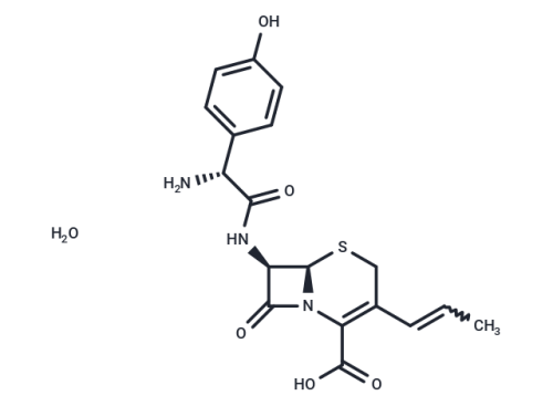 T1118-100 mg: Cefprozil monohydrate