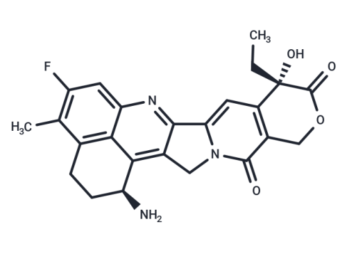 T11249-25 mg: Exatecan