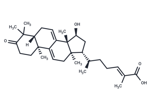 T11364-10 mg: Ganoderic acid TR