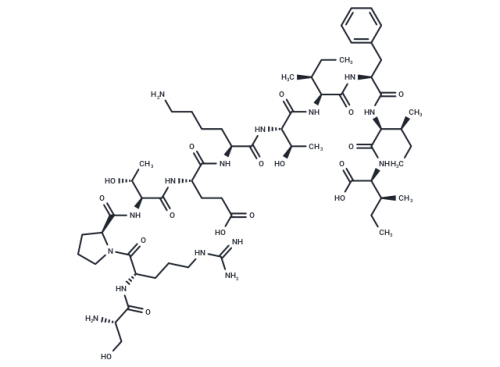 TP1333-50 mg: Gap 27