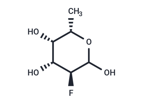 SGN-2FF