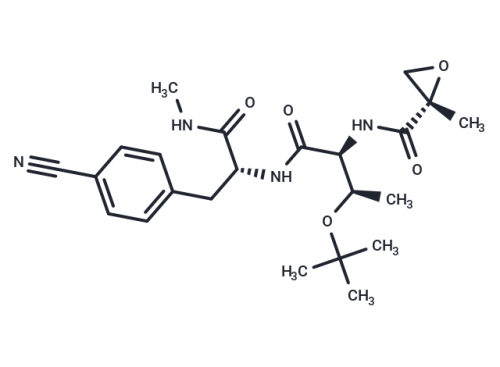 BTK-IN-5