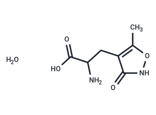 (RS)-AMPA monohydrate