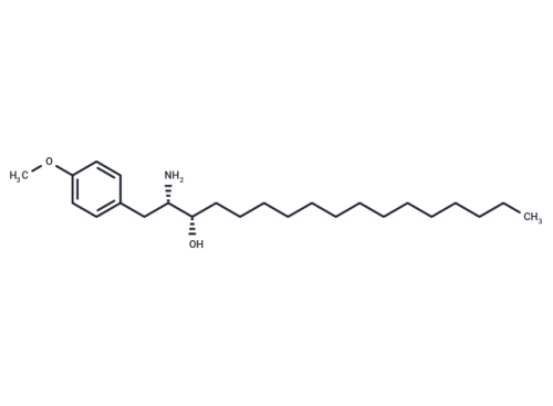 Autophagy inducer 3
