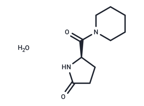 Fasoracetam monohydrate