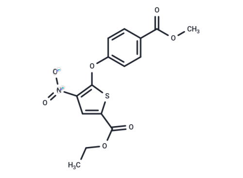 Wu-5