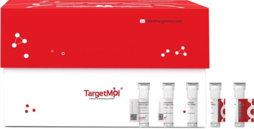 RANKL/TNFSF11/CD254 Protein, Mouse, Reco