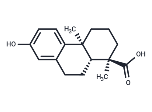 13-Hydroxy-8,11,13-podocarpatrien-18-oic