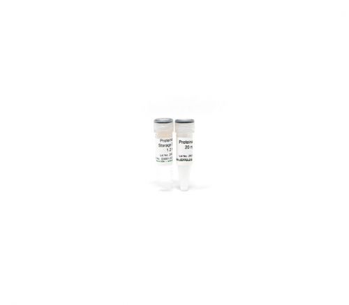 Zymo Research D3001-2-20: Proteinase K w
