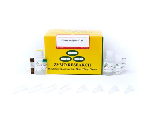 Zymo Research D5001: EZ DNA Methylation™