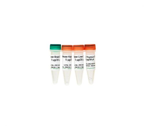 Zymo Research D5019: Mouse 5hmC & 5mC DN