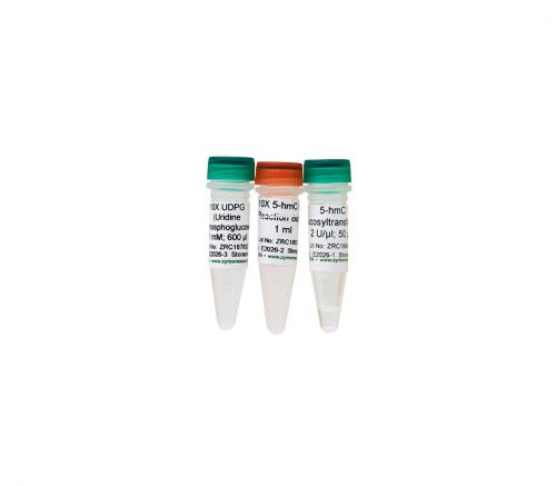 Zymo Research E2026: 5-hmC Glucosyltrans